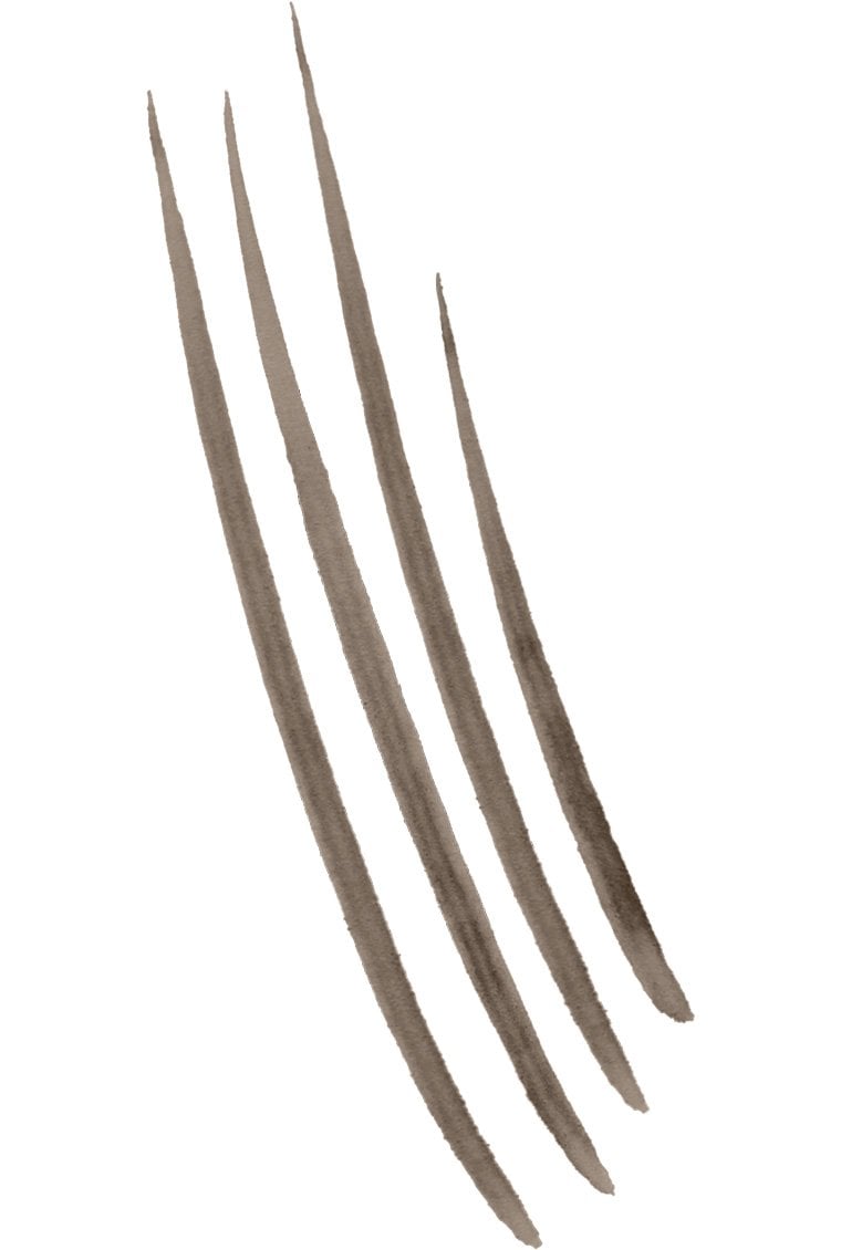 Maybelline Build A Brow texture AshBrown