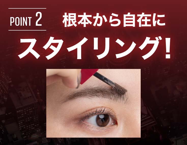 3D brow discription 4